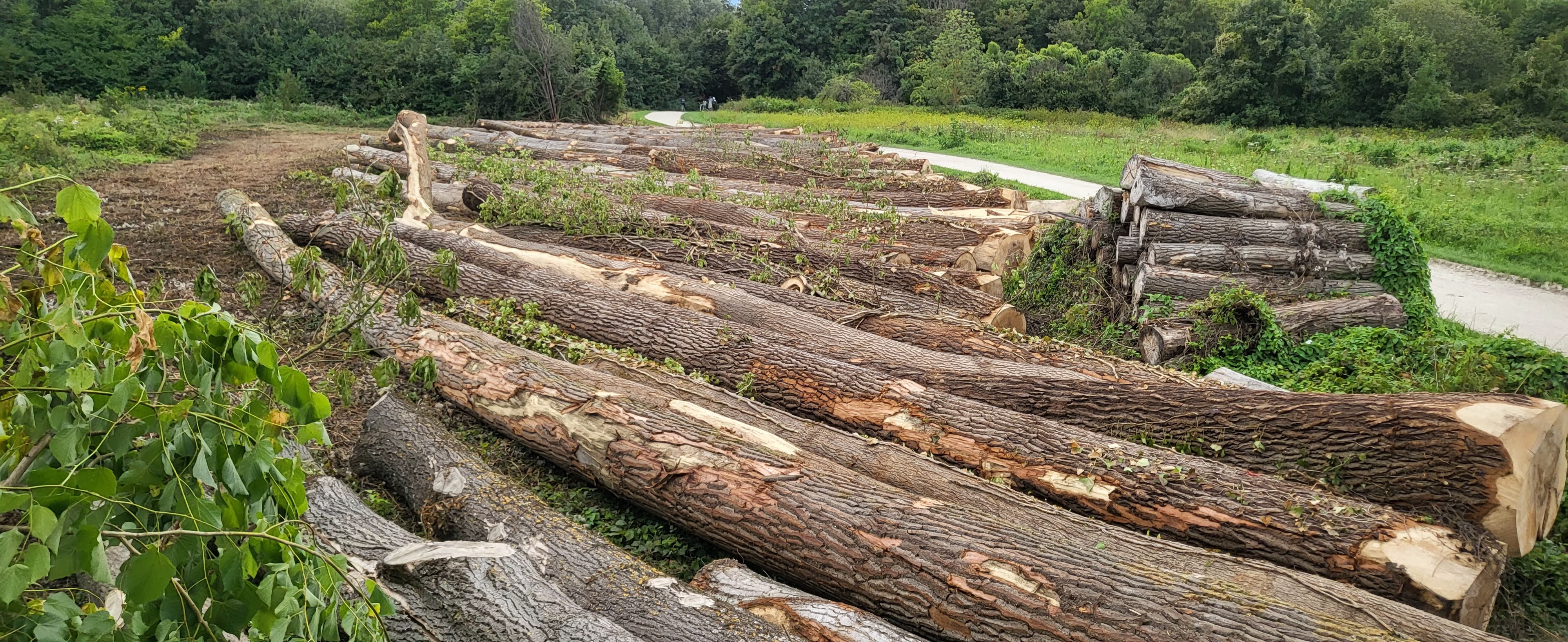 Photo n° 9 de l'avis de R. fait le 28/08/2023 à 09:54