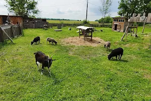 La Ferme des Marronniers image