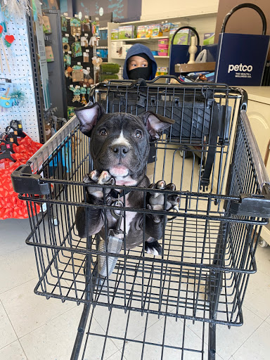 Pet Supply Store «Petco Animal Supplies», reviews and photos, 710 W 66th St, Richfield, MN 55423, USA