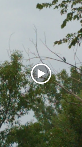 Nature Preserve «Maplewood Nature Center», reviews and photos, 2659 E 7th St, St Paul, MN 55119, USA