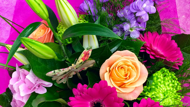 Reviews of Flowers by Reids in Belfast - Florist