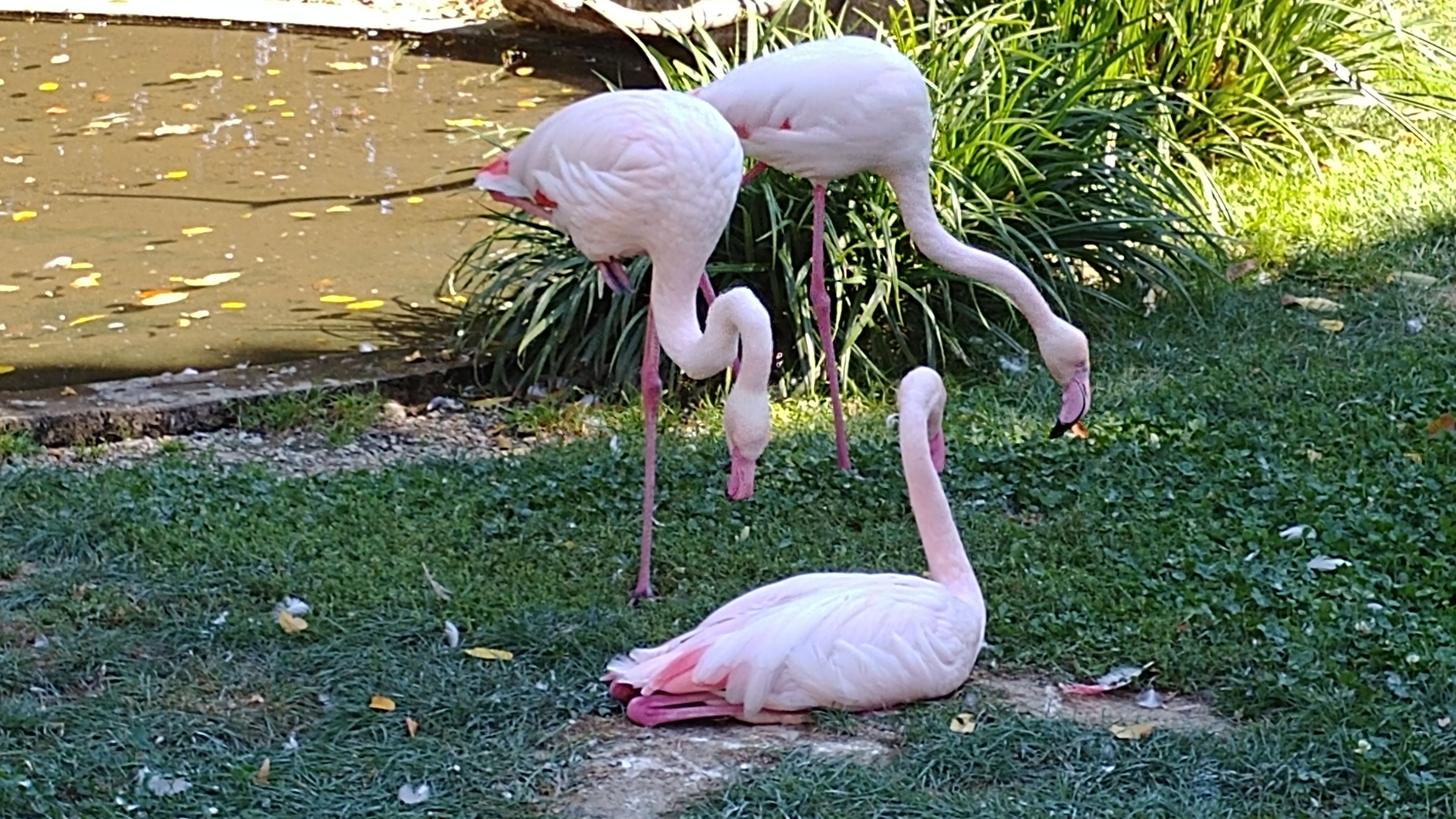 Photo n° 4 de l'avis de Dada.e fait le 30/09/2018 à 20:26