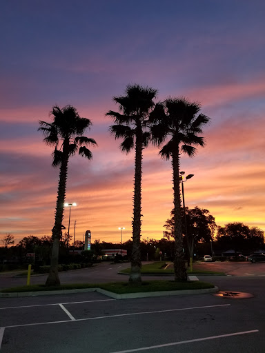 Supermarket «Walmart Neighborhood Market», reviews and photos, 8745 Little Rd, New Port Richey, FL 34654, USA