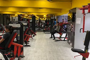 Exalt Fitness Club Gym image