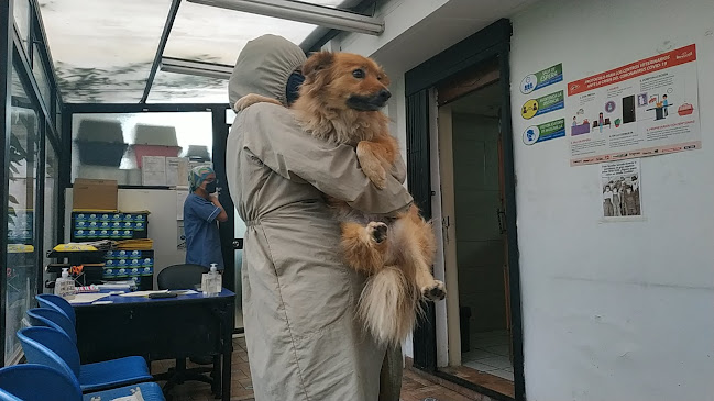 Vet Mariana De Jesus - Quito