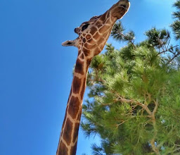 Prof. Agr. Alberto Carvallo Botanical Garden photo