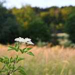 Photo n°4 de l'avis de SMC.s fait le 16/08/2022 à 20:01 sur le  Hollerhöfe - Zu Gast im Dorf à Kemnath