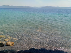 Turnalı Sahil'in fotoğrafı ve güzel manzarası