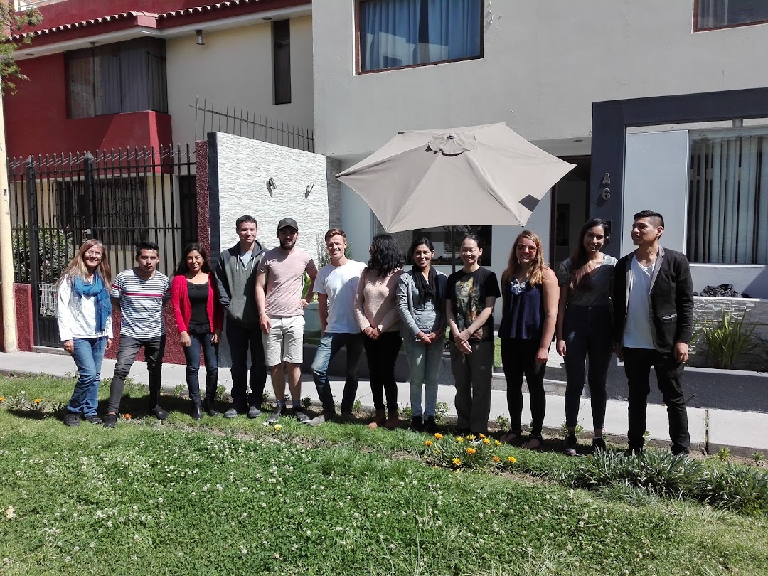 Llama Education Spanish FACE-TO-FACE ONLINE Spanish School Arequipa Peru 