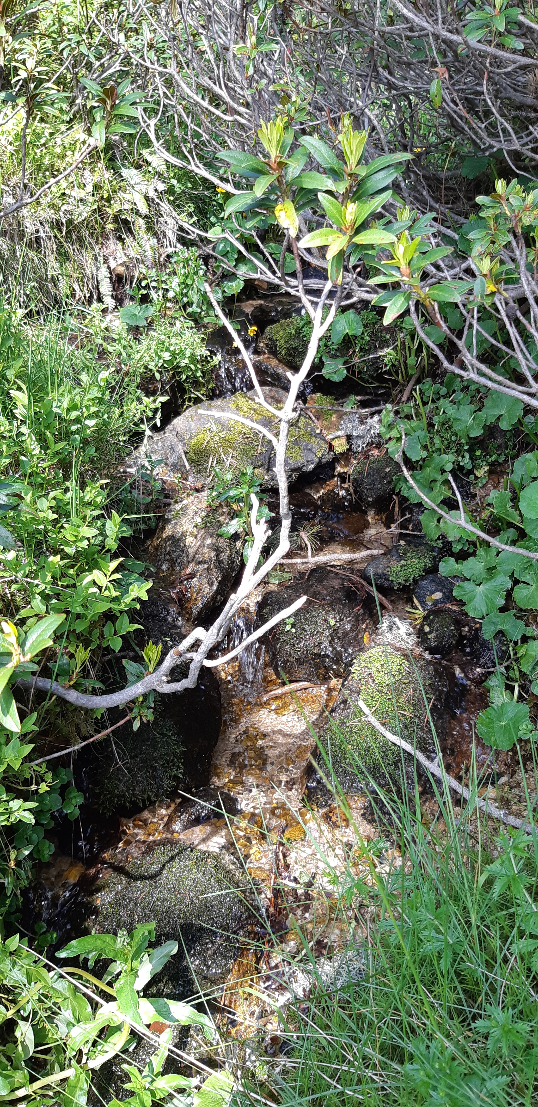 Photo n° 7 de l'avis de Yannick.a fait le 23/06/2019 à 21:16