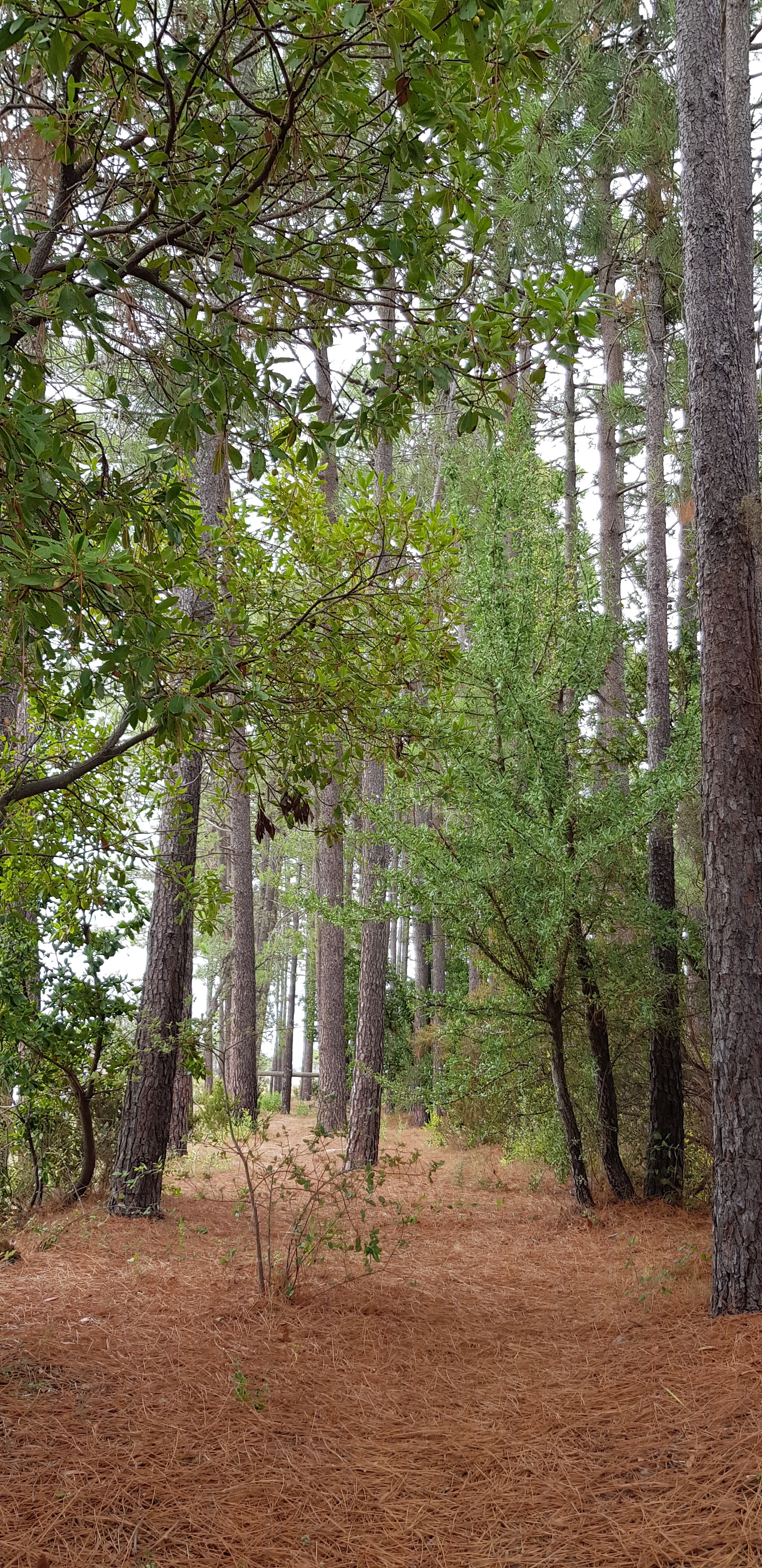 Photo n° 1 de l'avis de lejla.r fait le 21/09/2019 à 19:29