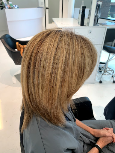 Hair Salon «Daniz Hair Design at Jean Claude Salon Del Mar», reviews and photos, 915 Camino Del Mar Suite 200, Del Mar, CA 92014, USA