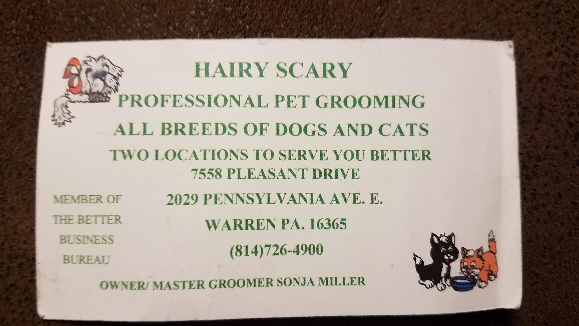 Hairy Scary Pet Grooming