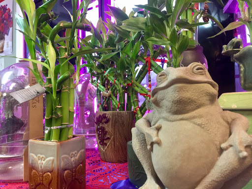 Florist «Twigs Flower Company», reviews and photos, 1616 1100 E, Salt Lake City, UT 84105, USA