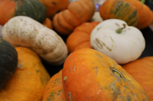 Grocery Store «Food Lion», reviews and photos, 38650 Sussex Hwy Unit 1, Delmar, DE 19940, USA