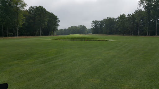 Golf Course «Diamond Springs Golf Course», reviews and photos, 3400 34th St, Hamilton, MI 49419, USA