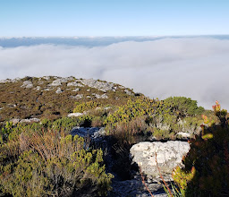 Maclear's Beacon photo