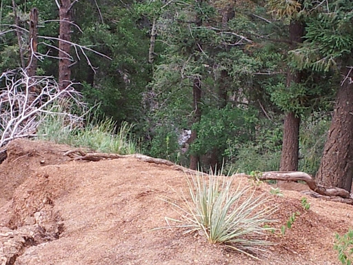 Golf Course «Valley Hi Golf Course», reviews and photos, 610 Chelton Rd, Colorado Springs, CO 80910, USA