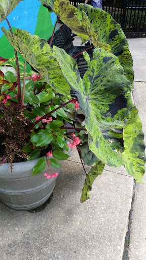 Zoo «Brandywine Zoo», reviews and photos, 1001 N Park Dr, Wilmington, DE 19802, USA