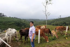 Mini Ranch Sapi Pasundan, Cibeureum-Sukamantri image