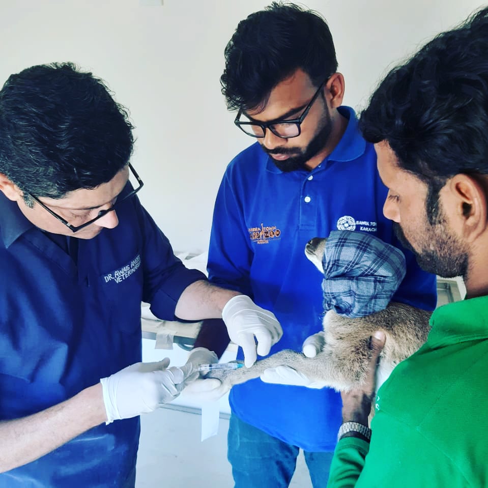 Lahore Animal Hospital