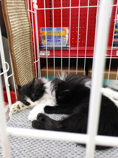 Pet Supply Store «Petco Animal Supplies», reviews and photos, 14051 Aldrich Ave S, Burnsville, MN 55337, USA