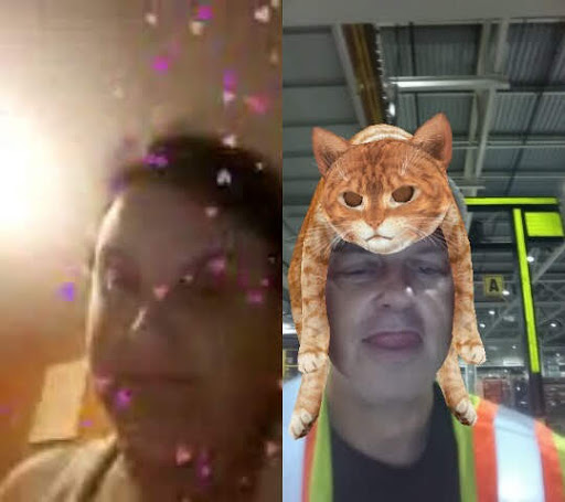 Pet Supply Store «Petco Animal Supplies», reviews and photos, 3537 Washtenaw Ave, Ann Arbor, MI 48104, USA