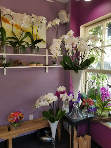 Florist «Ultra Violet Flowers», reviews and photos, 1218 31st St NW, Washington, DC 20007, USA