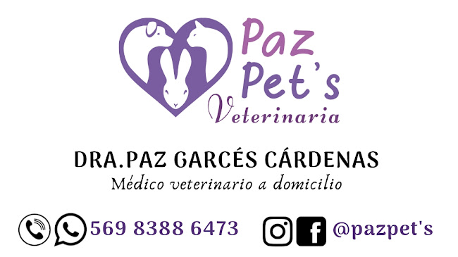 Veterinario a domicilio Dra. Paz Garcés - Puerto Montt