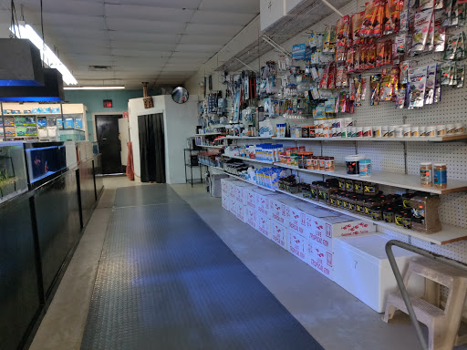 Tropical Fish Store «Fishy Business», reviews and photos, 140 S Ronald Reagan Blvd, Longwood, FL 32750, USA