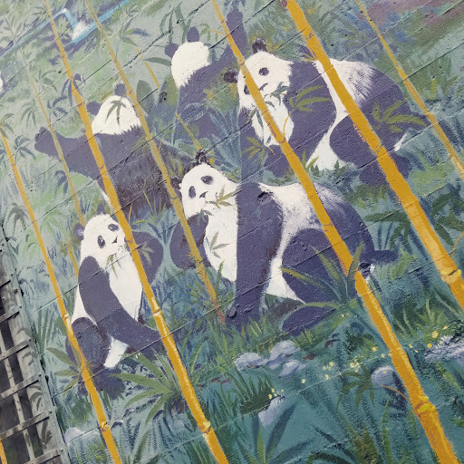 Bar «China Clipper Club Cafe», reviews and photos, 402 4th Ave E, Olympia, WA 98501, USA