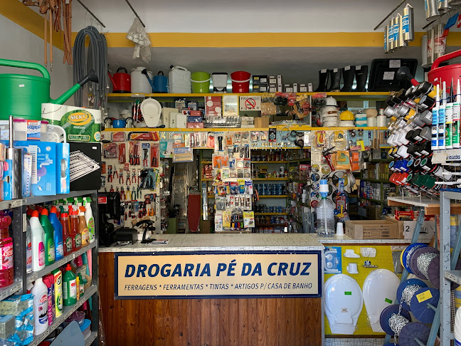 Drogaria Pe Da Cruz - Loja