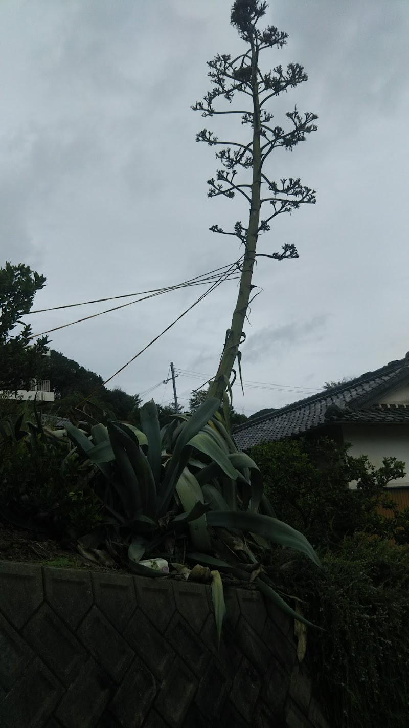 熊野古道の役行者