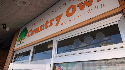 Country Owl