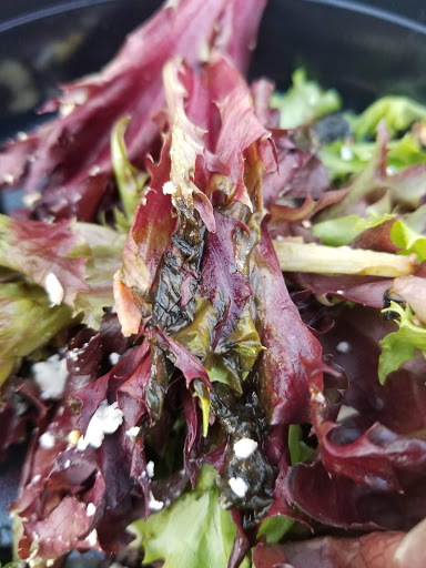 Wine Store «Cottleville Wine Seller», reviews and photos, 5314 State Highway N, St Charles, MO 63304, USA