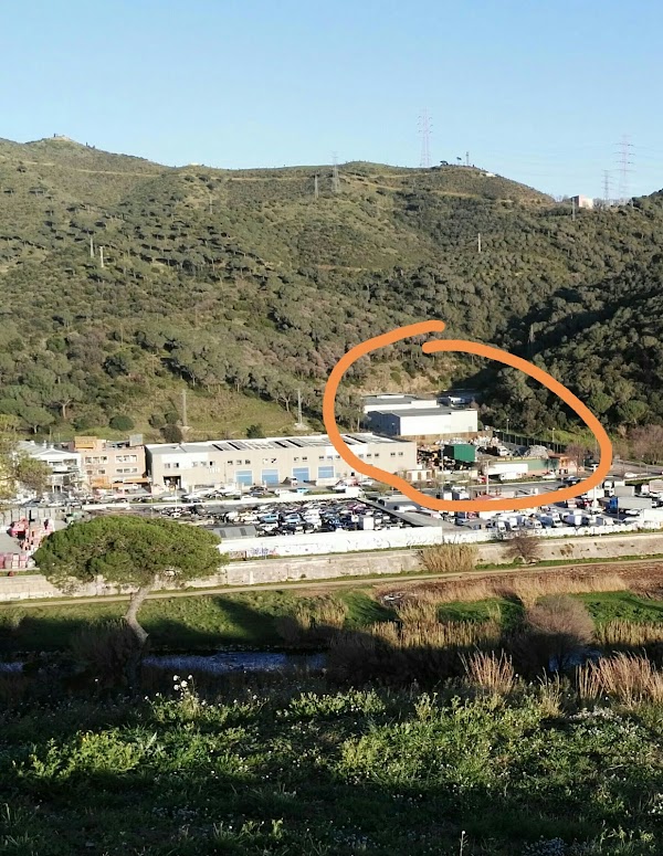 Viuda de Lauro Clariana