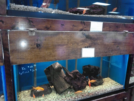 Pet Supply Store «Tropical World Pets», reviews and photos, 8444 Watson Rd, Webster Groves, MO 63119, USA