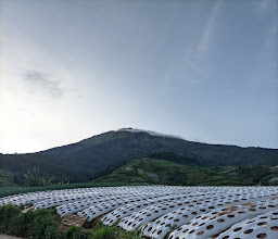 Mangli Skyview photo