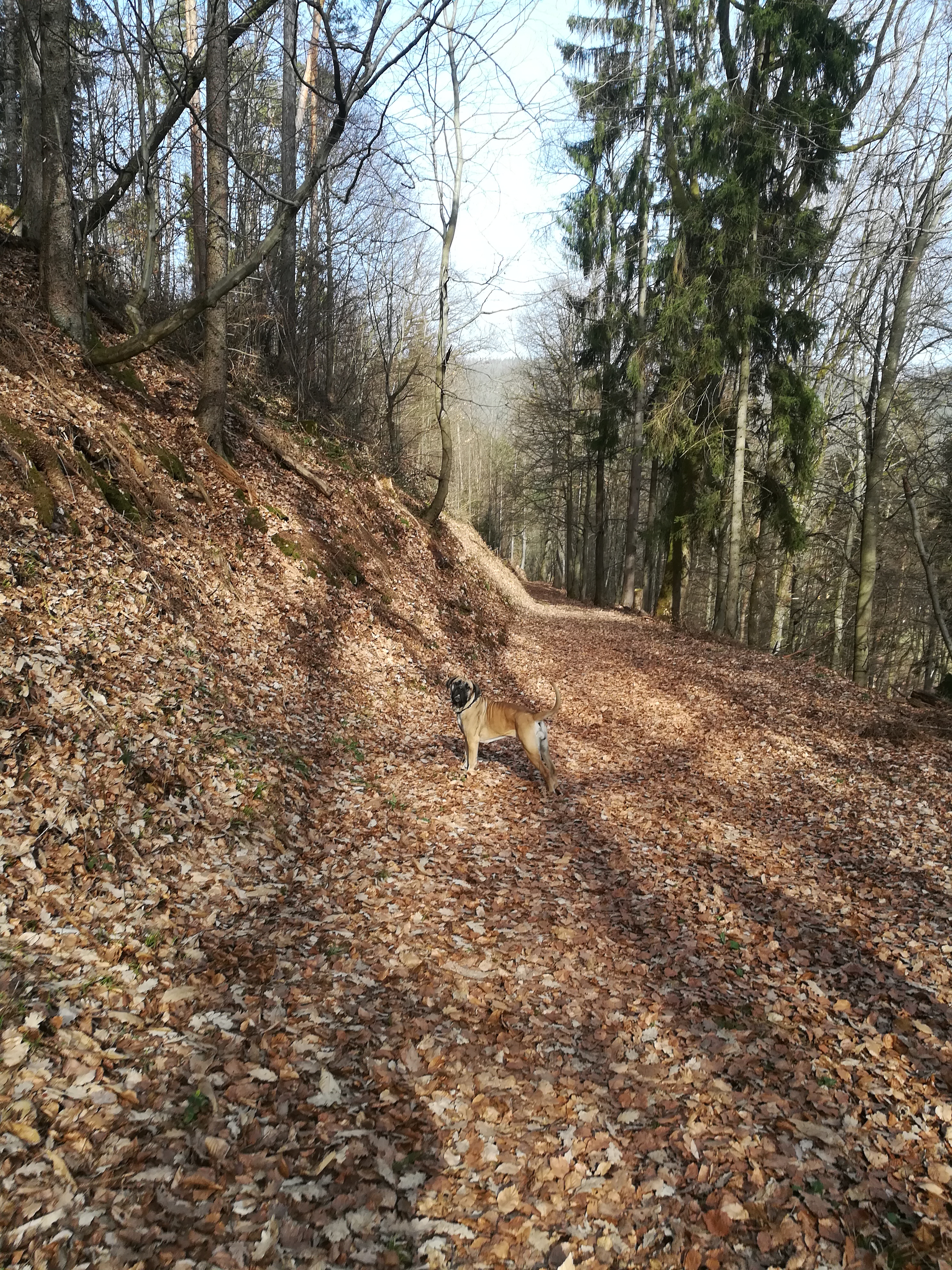 Photo n° 3 de l'avis de Virginie.i fait le 24/02/2021 à 18:12