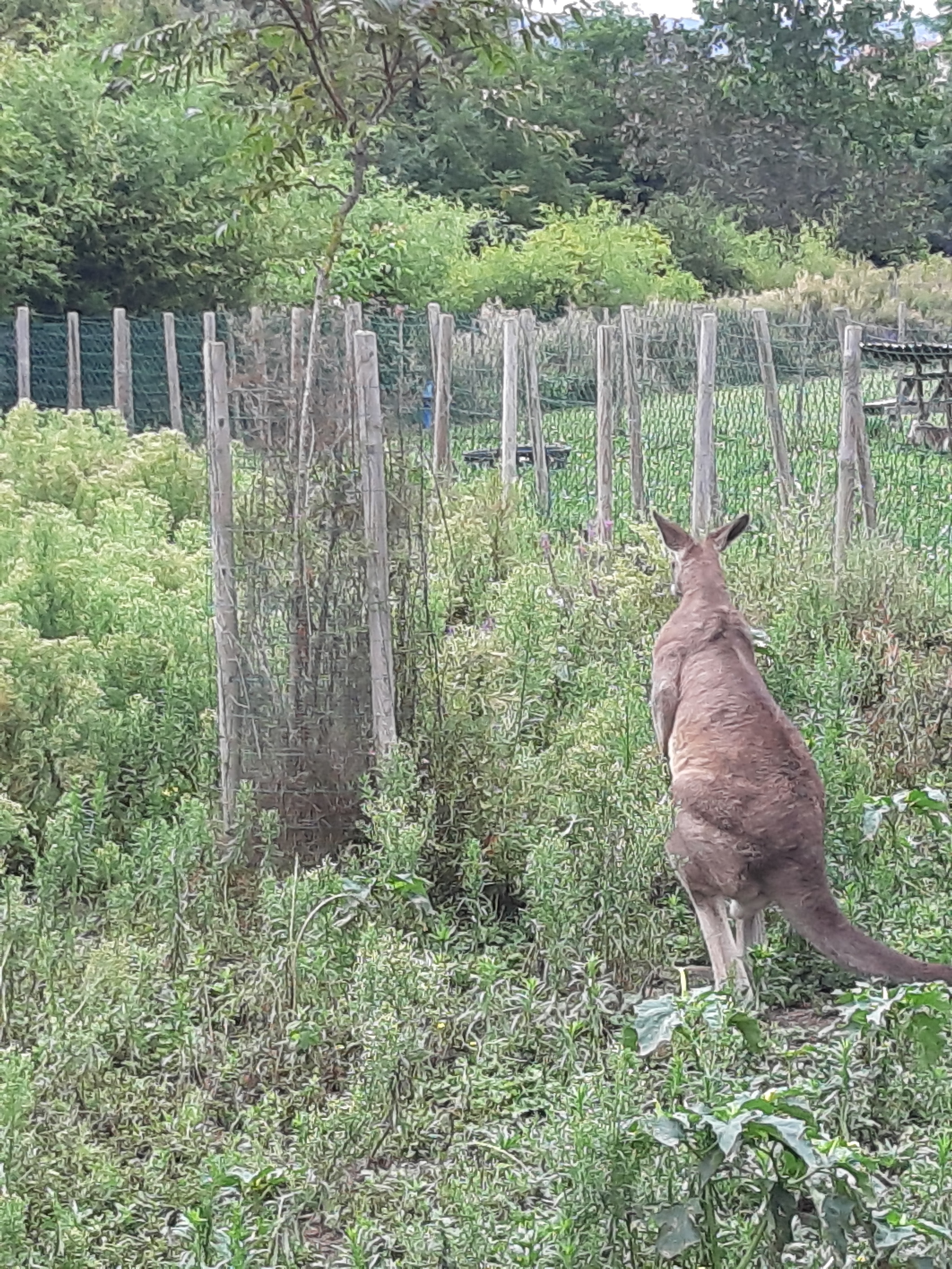 Photo n° 1 de l'avis de Cinthia.c fait le 19/08/2019 à 16:39