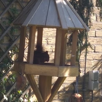 Auto-Motorrijschool Ron Winthagen