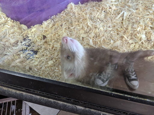 Pet Store «Zookeeper Exotics», reviews and photos, 9012 Research Blvd, Austin, TX 78758, USA