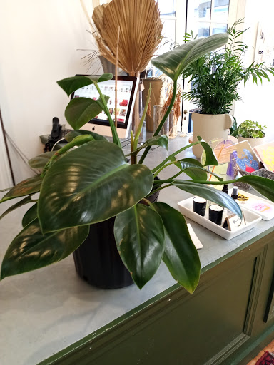 Florist «Fleur de Lis Fresh Flowers», reviews and photos, 516 Selby Ave, St Paul, MN 55102, USA