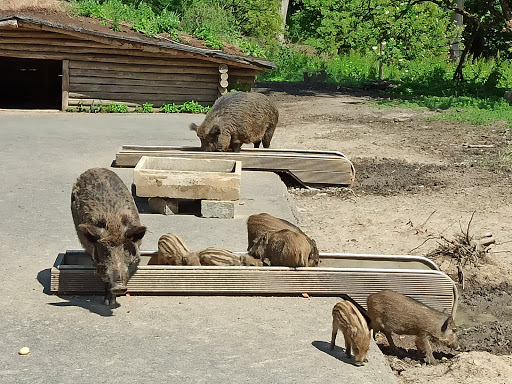 Wildpark Grafenberger Wald