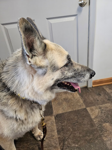 Catlett Animal Hospital