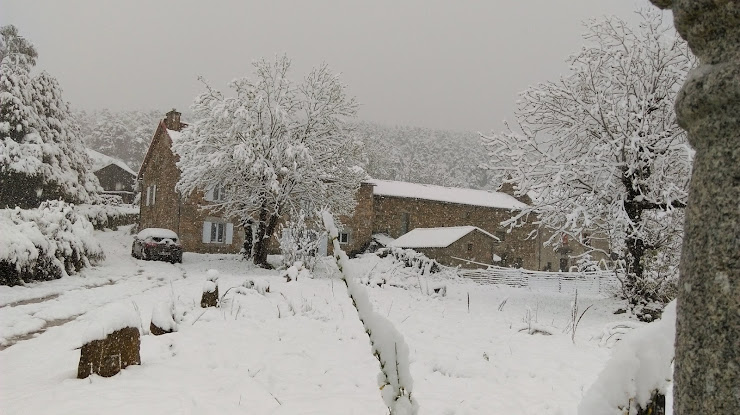 Photos des visiteurs hôtels Crozat Fournier Mireille 48140 Le Malzieu-Forain