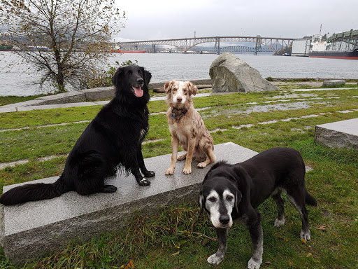 Park «New Brighton Park», reviews and photos, 3201 New Brighton Rd, Arden Hills, MN 55112, USA