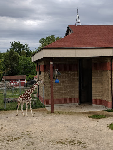Zoo «NEW Zoo & Adventure Park», reviews and photos, 4378 Reforestation Rd, Green Bay, WI 54313, USA