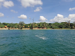 Wild Beach'in fotoğrafı çok temiz temizlik seviyesi ile