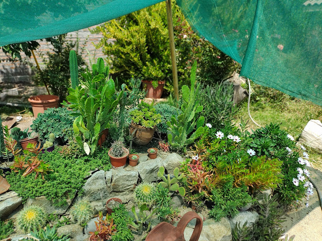 Petros - Centro de jardinería